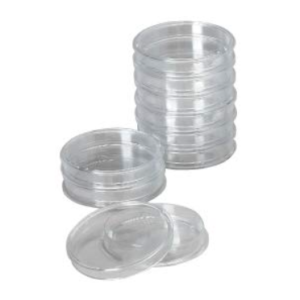 petri dish